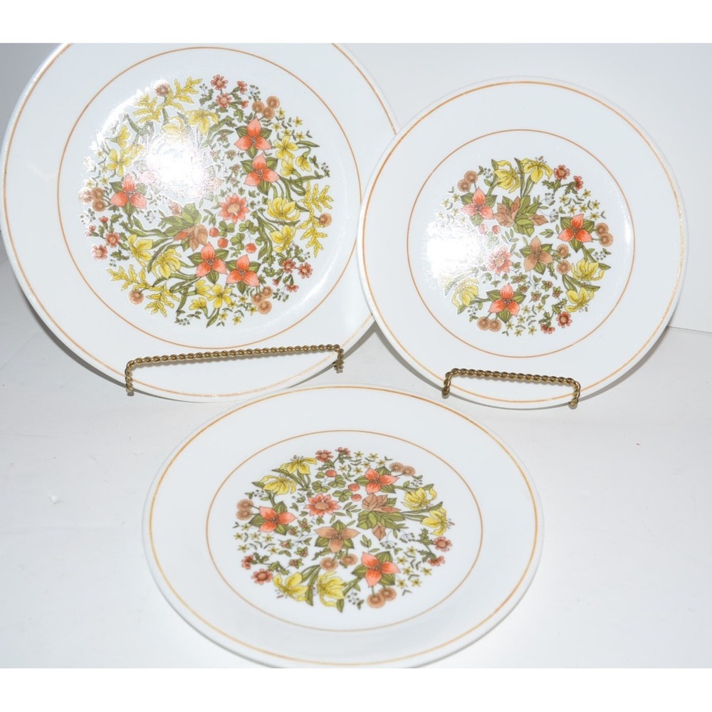 Vtg Corning Corelle Indian Summer 10.25"‎ Dinner Plate + 2 Salad Plates 3pc
